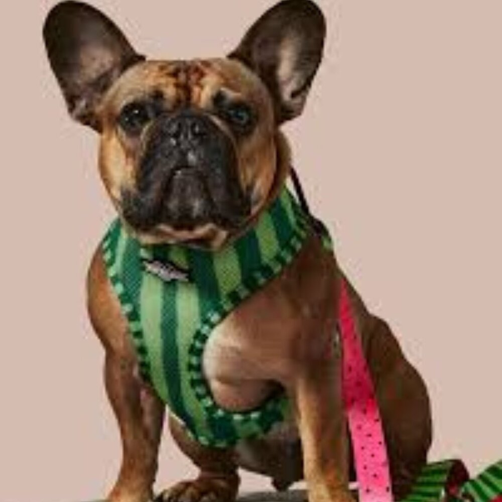 What-A-Melon Reversible Harness